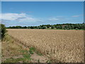 Across the Fromus valley to Hurts Hall