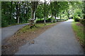 Fork in the road, Ashmore Lodge, Bridge of Cally