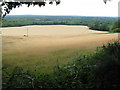 SU9838 : View south from the Greensand Way by Dave Spicer