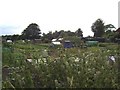 Allotments by Stand Road