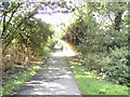 The old Hornsea railway line