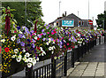 Floral display in Shaw