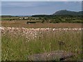 The view northwards from the graveyard at Llanfihangel Bachellaeth