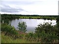 Marfield Nature Reserve