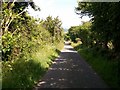 Down hill above Beudy Mawr