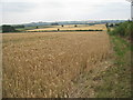 Looking back towards Farnsfield