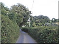 Country Lane, near Roundhill