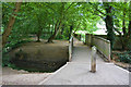 Footbridge Over Turkey Brook