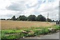 Fields near Hanging Birch Farm