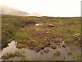 NN2853 : Trackless Rannoch Moor with tree-stumps by Phillip Williams