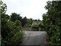 Shrubbery and cottage at Tapton Grange