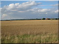 View towards Sand Lane Farm