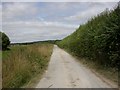 Cranborne, farm road