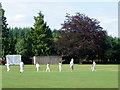 Village cricket, Farley