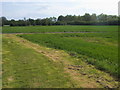 Footpath heading towards the A508