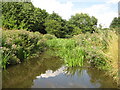 Ingrebourne River in Upminster