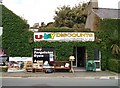 Ivy-covered bargain store on Yr Ala