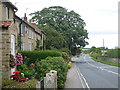 A170 heading east through Wilton