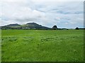 Lush grassland at Mathan Uchaf