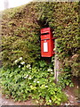 Cann: postbox in hedge