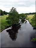 SK2668 : River Derwent, Beeley, Derbyshire by Graham Hogg
