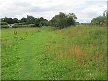 NT5434 : Riverside pasture, Melrose by Richard Webb