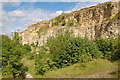 Former quarry on Leckhampton Hill