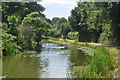 Tiverton : The Grand Western Canal