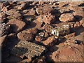 Fallen material, Institute Beach