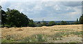 2010 : An ex- wheatfield, straw waiting to be gathered in