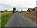 H5533 : Road at Kilcorran by Kenneth  Allen