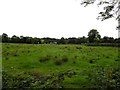 Cordoolagh Townland