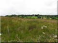 Derryloo Townland