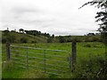 Corraleek Townland