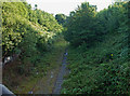 New Road, Dudley