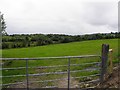 Derrygannon Townland