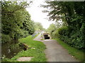 Choice of ramp or tunnel ahead, Hollybush  Way, Cwmbran