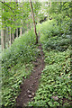 Footpath ascending Worton Scar