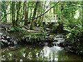 Footbridge near entrance to Jericho Cottage