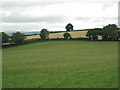 Hilltop fields northeast of Bulkamore