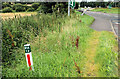 Roadside post near Hillsborough (2)