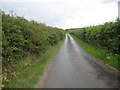 Borrowby Lane near Cooper House