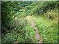 Public footpath near Seaton Hall