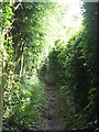 Footpath between Leazes Lane and Beech Hill (4)