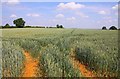 Arable field near Mollington