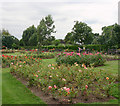 Rose garden, Chalkwell Park