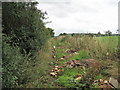 Disused Lane near Lowerhall Farm