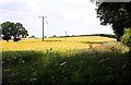 Arable field near Williamscot