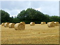 Harvested field, West Dean