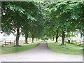 Farm driveway